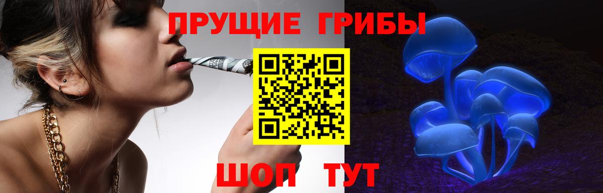 Вольск  Галлюциногенные грибы Magic Shrooms  как найти закладки  Галлюциногенные грибы Magic Shrooms  Вход с VPN 